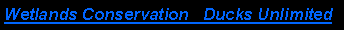 Text Box: Wetlands Conservation&nbsp;&nbsp; Ducks Unlimited 